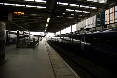 DSC_1234 (Large).JPG